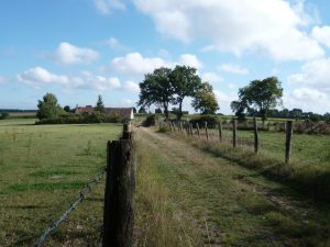 CIRCUIT N°36 : ESSENCES DES HAIES DU PERCHE SARTHOIS – VOLNAY