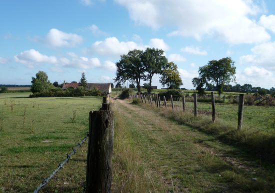 À l’orée des bois