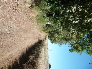 N°16 : Sur les pas des Croisés