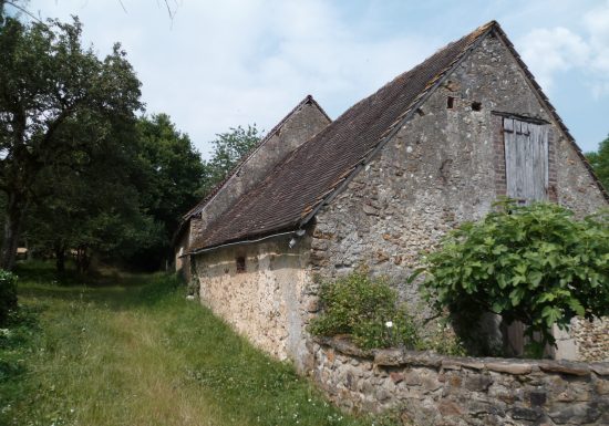 N°36 : Essences des haies du Perche Sarthois