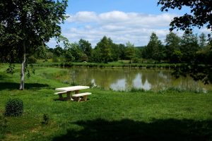 POND – ST ULPHACE