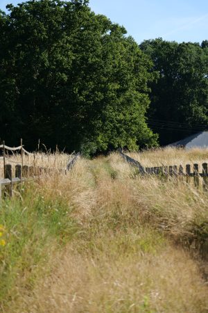 Collines de la Vallée de l’Huisne