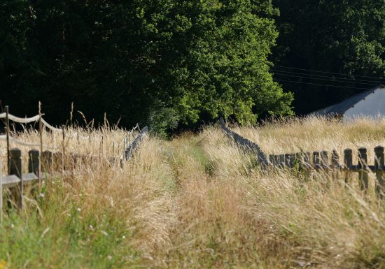 Collines de la Vallée de l’Huisne