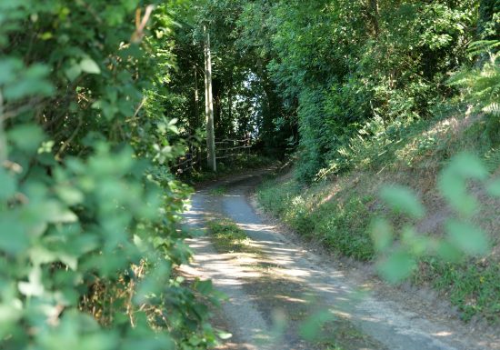 Collines de la Vallée de l’Huisne