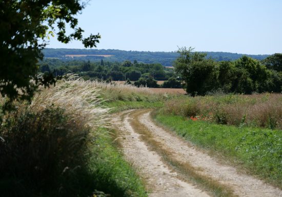 Autour du Saint-Symphorien