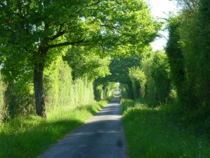 Parcours de découverte – Circuit bleu