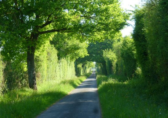 Parcours de découverte – Circuit bleu