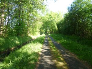 Parcours de découverte – Circuit bleu