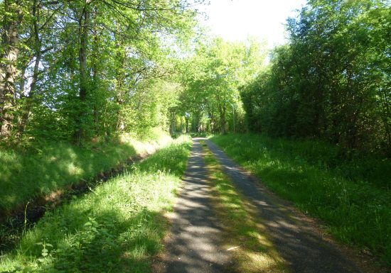 Parcours de découverte – Circuit bleu