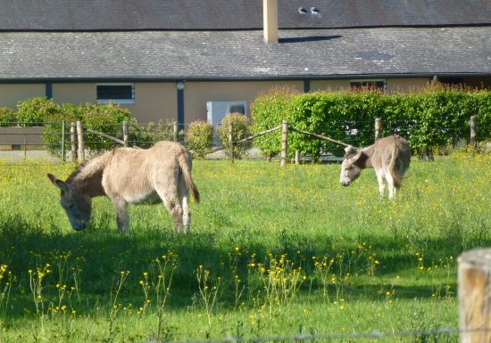 Parcours de découverte – Circuit bleu