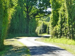 Parcours de découverte – Circuit rouge