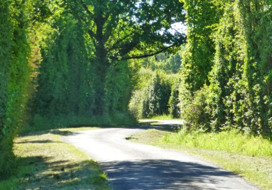 Parcours de découverte – Circuit rouge