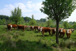 Ferme brasserie Blossier