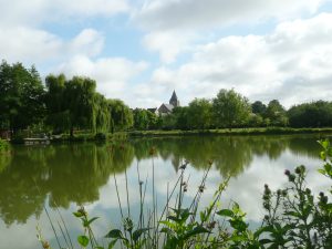 Pêche plan d’eau de Tennie