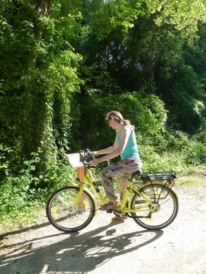 PARCOURS BOTANIQUE SUR LA VOIE VERTE MAINE SAOSNOIS