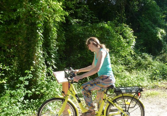 PARCOURS BOTANIQUE SUR LA VOIE VERTE MAINE SAOSNOIS