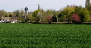EGLISE NOTRE DAME ET SAINT JEAN BAPTISTE – AVESNES EN SAOSNOIS