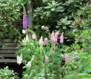 Jardin du Bois Fleuri
