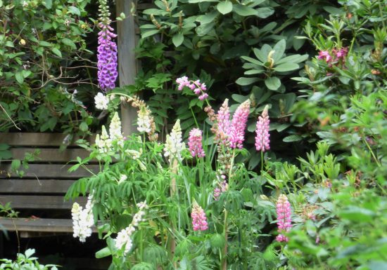 Jardin du Bois Fleuri