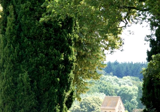 Tour de trompe-souris