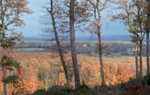 FORET DOMANIALE DE PERSEIGNE