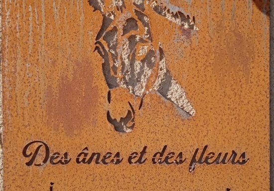 Meublé – Des ânes et des fleurs