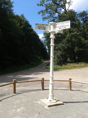 EN FORÊT DE PERSEIGNE