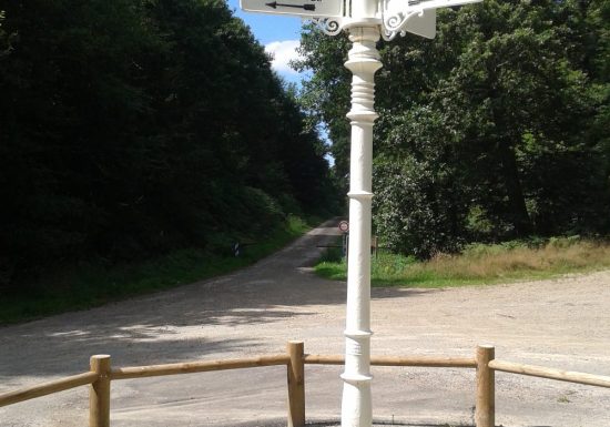 EN FORÊT DE PERSEIGNE