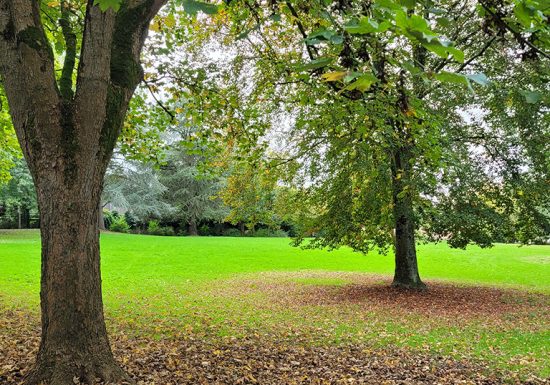 Parc Banjan