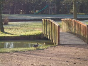 PECHER SUR L’ANILLE DANS UN PARC