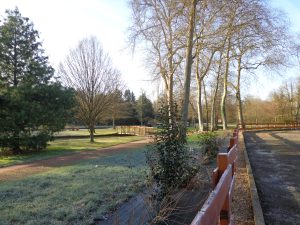 PECHER SUR L’ANILLE DANS UN PARC