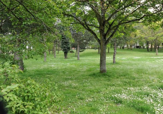 Parc Marcel-Paul