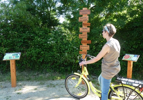 VOIE VERTE MAINE SAOSNOIS