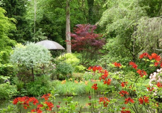 JARDIN D’ATMOSPHÈRE DU PETIT BORDEAUX