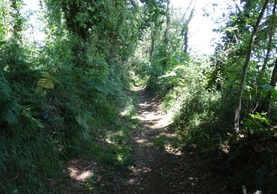 La flèche – Le Gué Cartrain