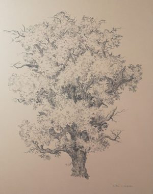 EXPOSITION DE MATHIEU MAIGNAN au Jardin Potager de Bonnétable