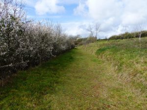 Espace naturel sensible du côteau de Vilclair