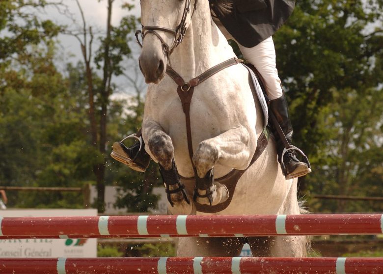 PÔLE EUROPÉEN DU CHEVAL – CONCOURS DE NOËL