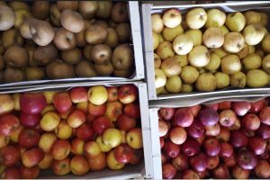 Marché des producteurs bio et locaux de Belle Garde