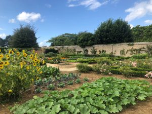 Jardins du manoir de la Massonnière