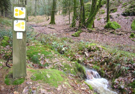 CIRCUIT VTT N°9 – BLEU – “LEGRUN”