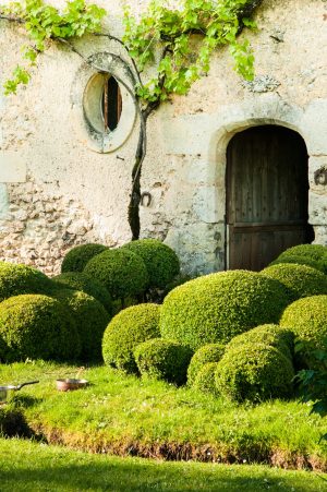 HORTUS CONCLUSUS DU PRIEURE DE VAUBOIN