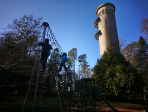 PARCOURS CYCLO – CAP SUR LA FORÊT DE PERSEIGNE