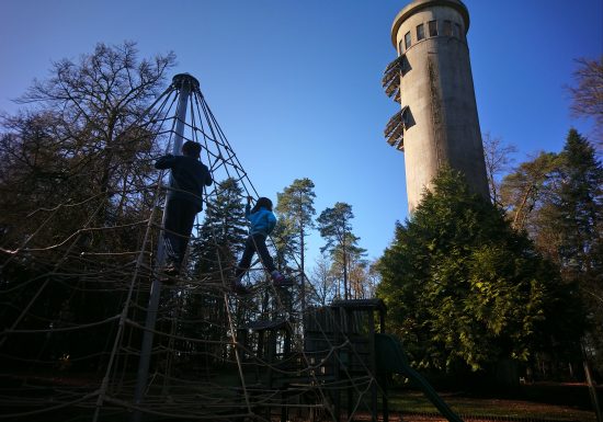 PARCOURS CYCLO – CAP SUR LA FORÊT DE PERSEIGNE