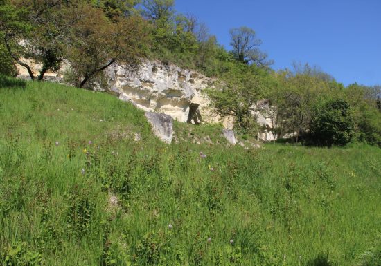 Coteau et prairies des Caforts