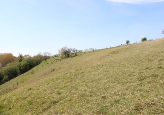 COTEAU ET PLATEAU DE TESSE