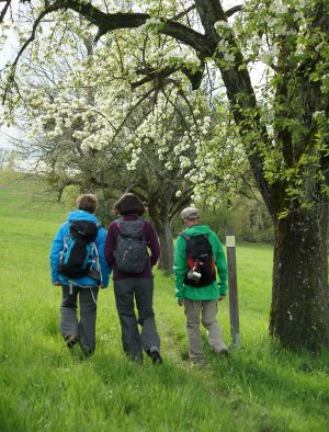 LA CHAPELLE AUX CHOUX – CIRCUIT DES 3 PROVINCES