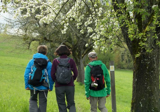 La Chapelle-aux-Choux – Circuit des 3 provinces