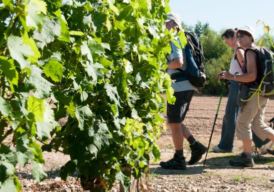 Lhomme – Escapade autour du Jasnières