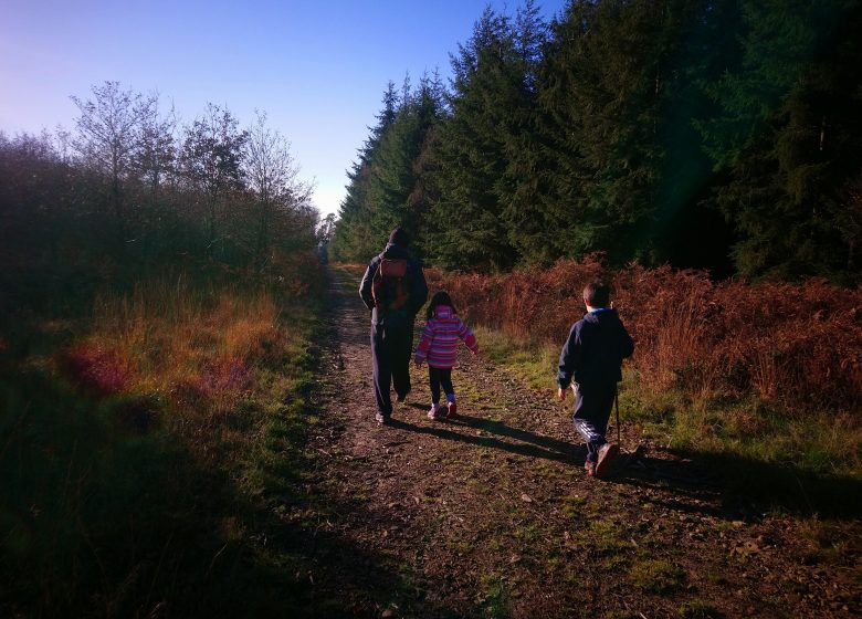 Randonnée pédestre de Noël